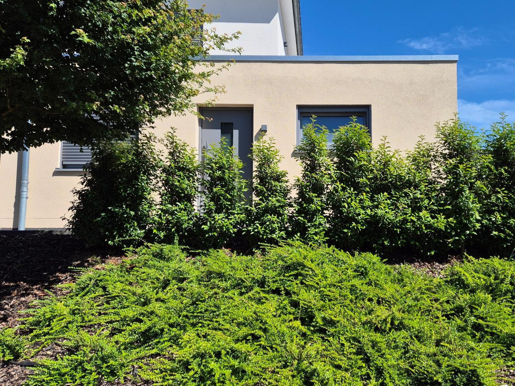 Apartament Wine & Hike Wincheringen Zewnętrze zdjęcie